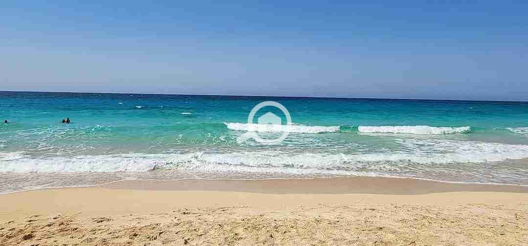 15 FB_IMG_1730418896504. jpg