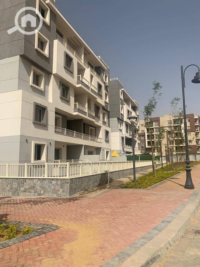 4 IMG-20250213-WA0007. jpg