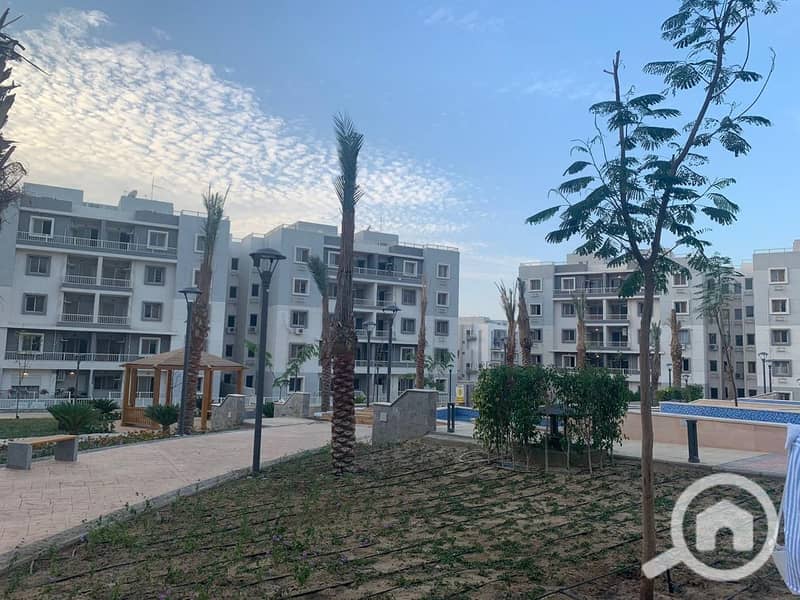 6 IMG-20250213-WA0014. jpg