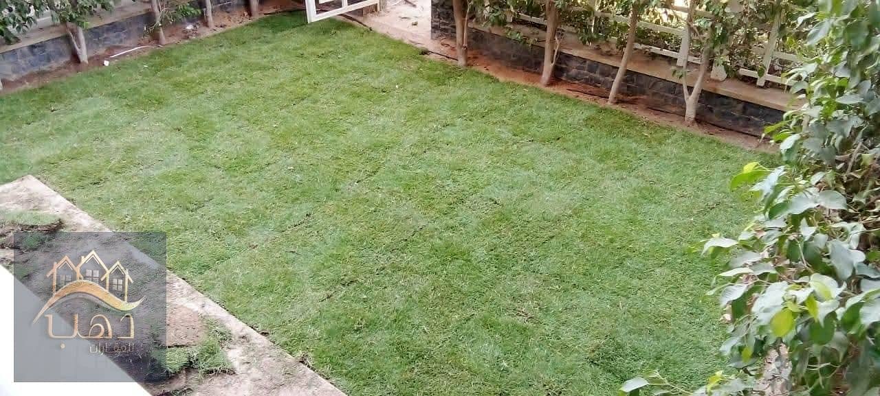 2 5f0c0b7d-1d66-4583-b1cf-c642797925a7. jpg