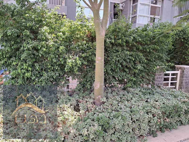 3 d830ac97-f072-4639-8ff4-d59ec29de283. jpg