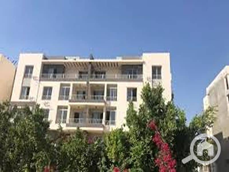 10 IMG-20250212-WA0028. jpg