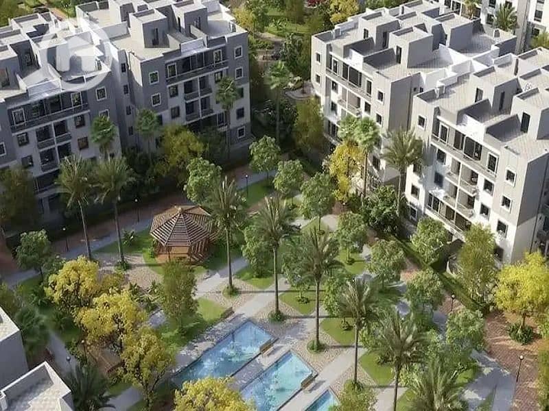 13 IMG-20250212-WA0034. jpg