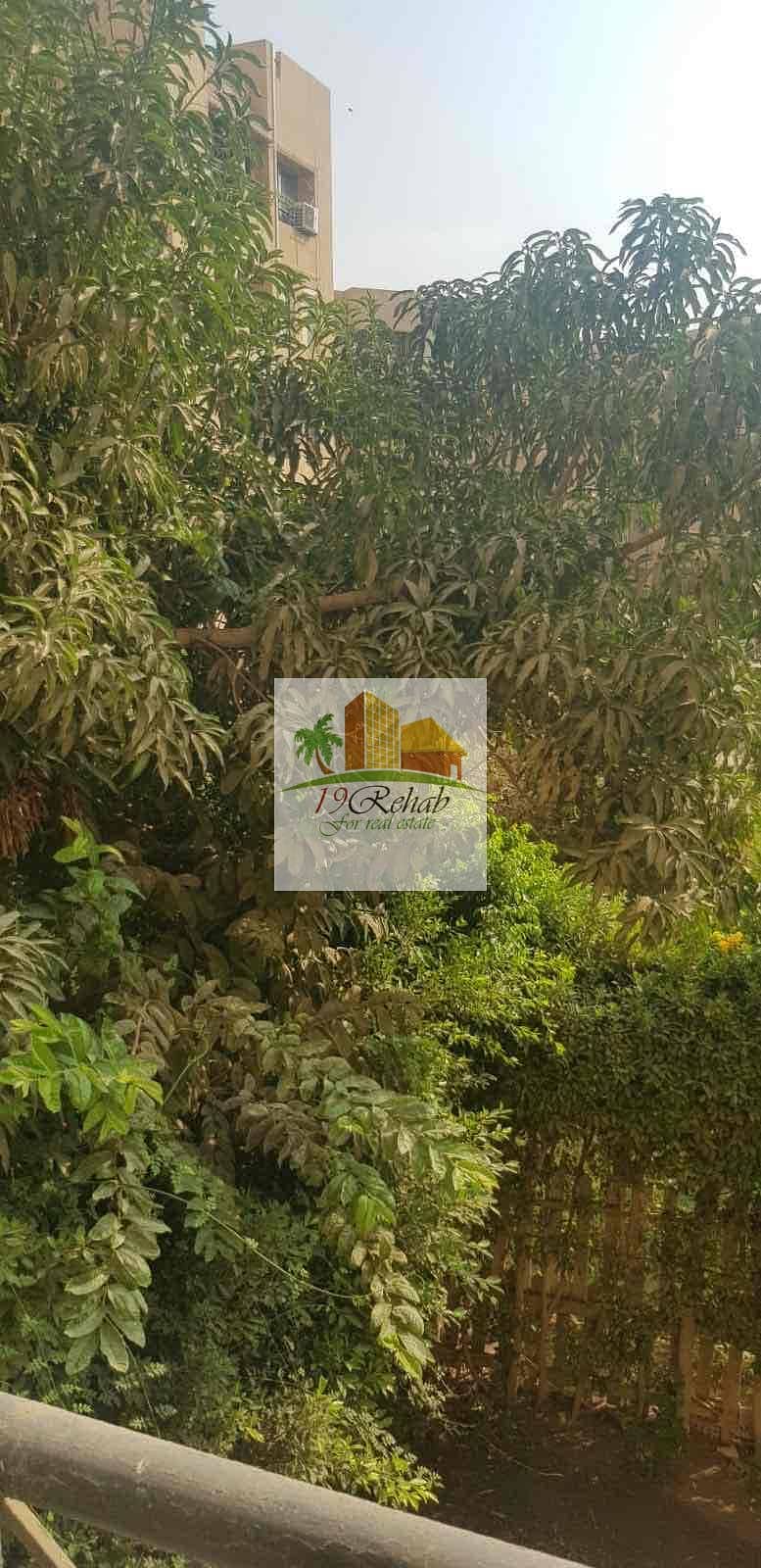 6 521aae23-b69e-4ae8-b81a-a39801dc10b6. jpg