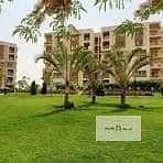 2 download (79). jpg