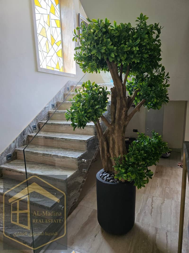 5 WhatsApp Image 2025-12-17 at 6.47. 12 AM (1). jpeg