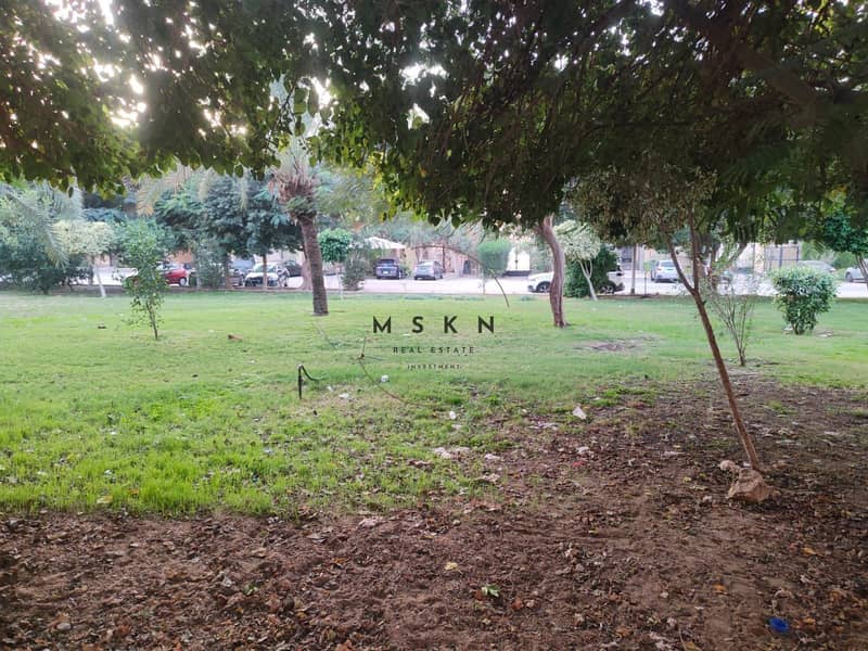 12 photo_2025-12-18 20.45. 06. jpeg