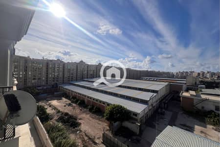 3 Bedroom Flat for Sale in Smoha, Alexandria - Untitled-2_0005_WhatsApp Image 2025-12-16 at 3.46. 56 PM. jpg