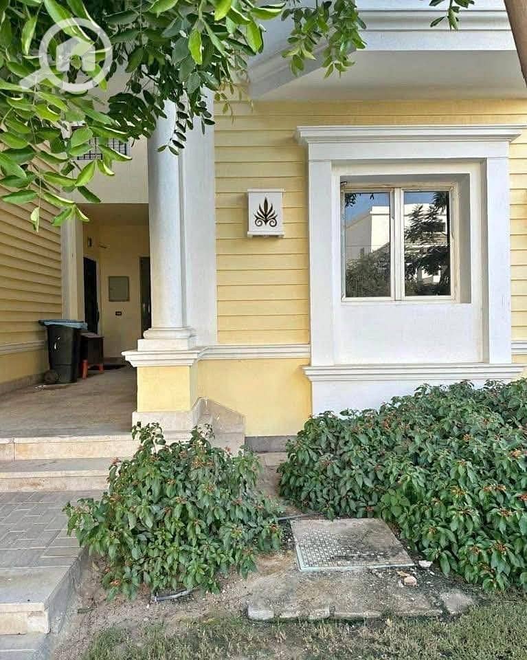 3 590554498_1199904165409491_5619190680870991804_n. jpg