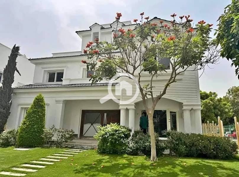 5 589622502_1286981380130189_7709959334764968756_n. jpg