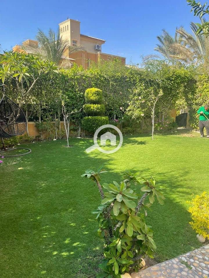 10 547449808_3468637743476927_3968614678706727295_n. jpg