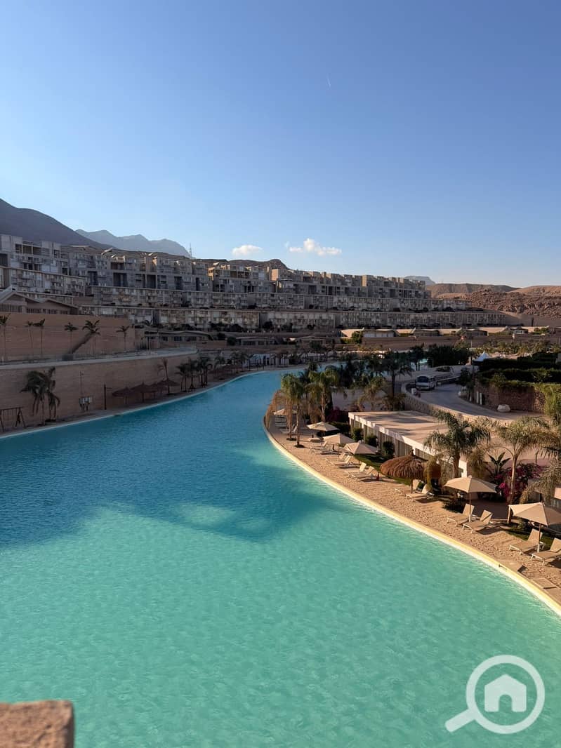 2 6cd2ef02-3bf6-4987-8848-0eb04db02f33. jpg