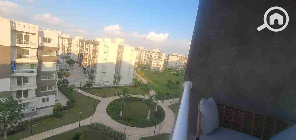 1001444990. jpg 1001444990. jpg