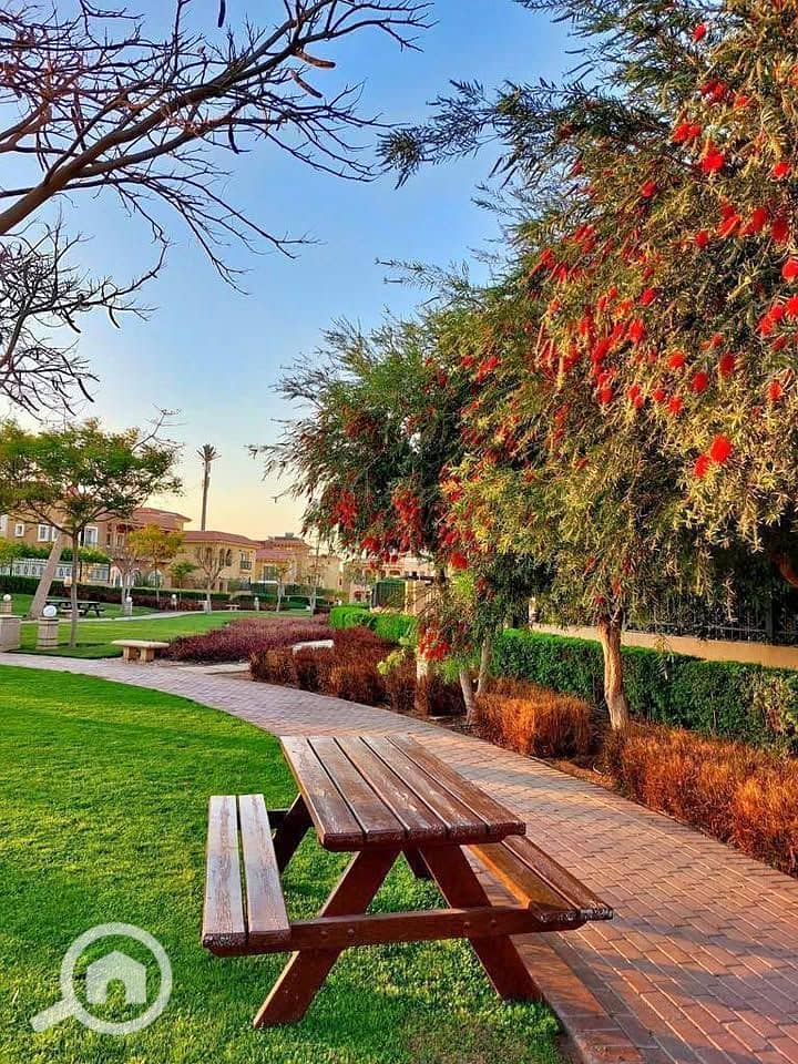 10 593598632_1884425672158018_586996450169410188_n. jpg