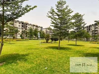 3 Bedroom Apartment for Sale in Madinaty, Cairo - 6156aab6-5e5b-4e00-a227-54f6a94f8fb1. jpg