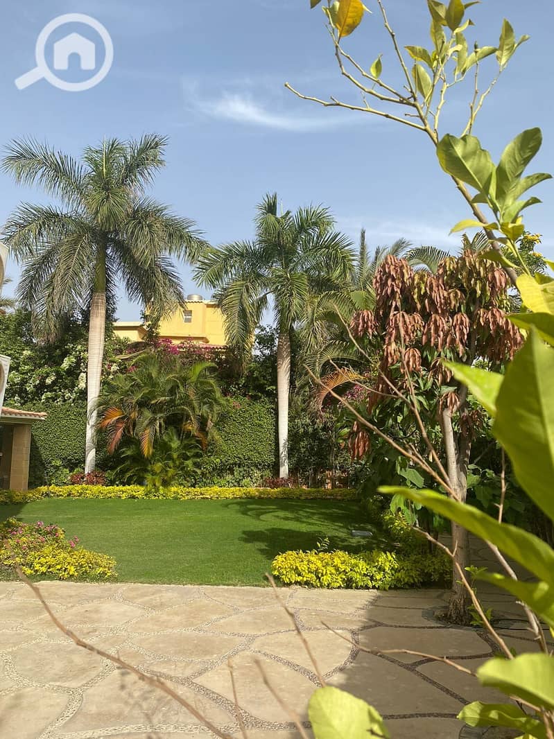 4 1e66382d-c054-4c73-a397-b841768b202c. jpg