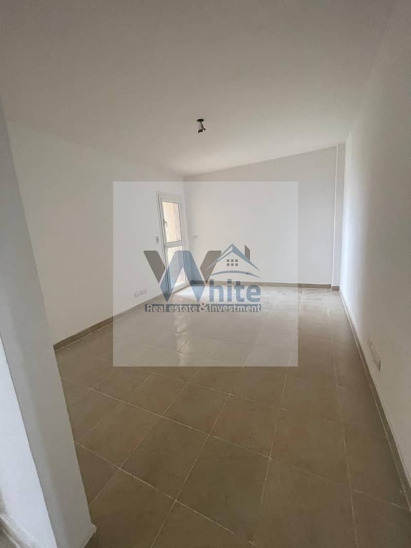 3 ad595aff-ef64-4a19-babf-b5a9642df3db. jpeg