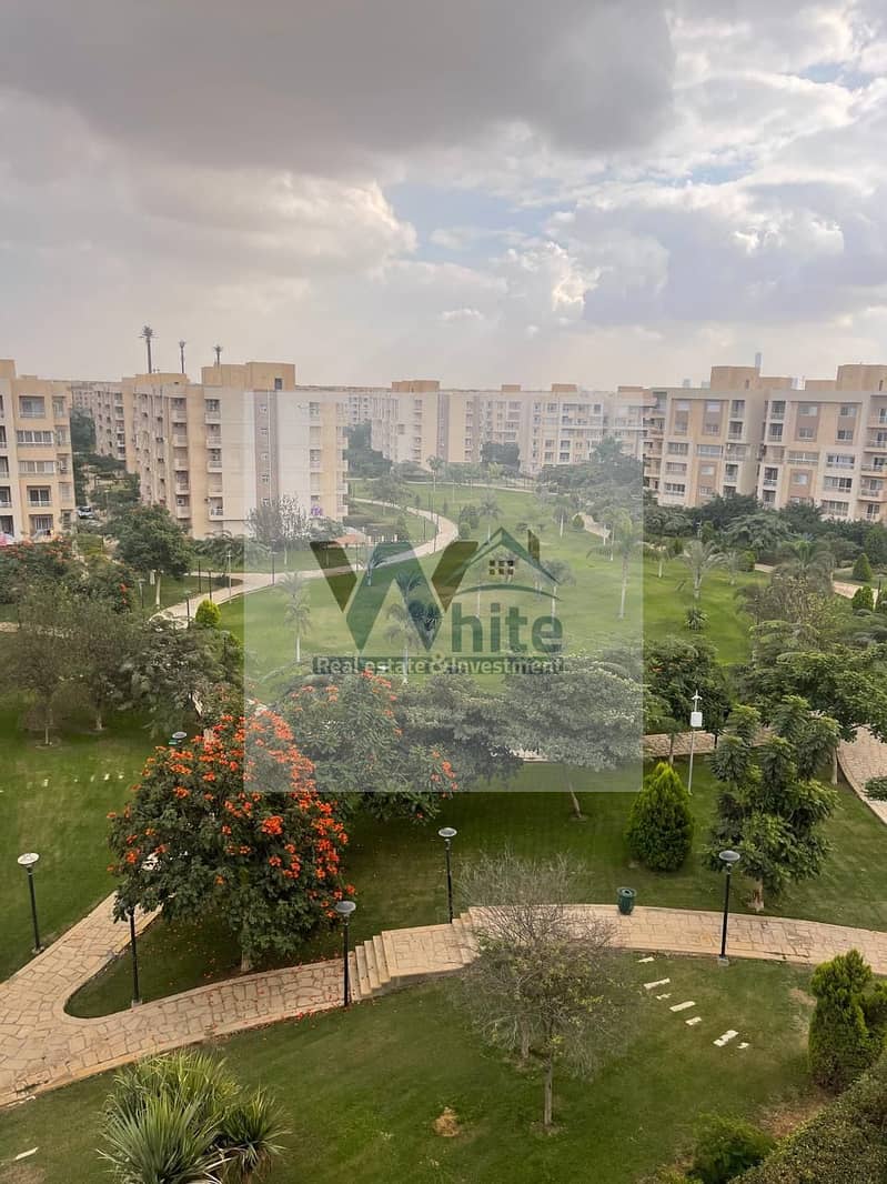 5 ba41522c-f79a-439c-9df0-073223c7e468. jpeg