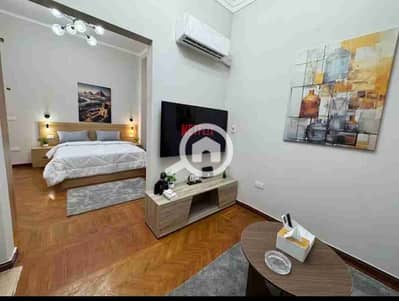 Hotel Apartment for Rent in Zamalek, Cairo - 1000186709. jpg