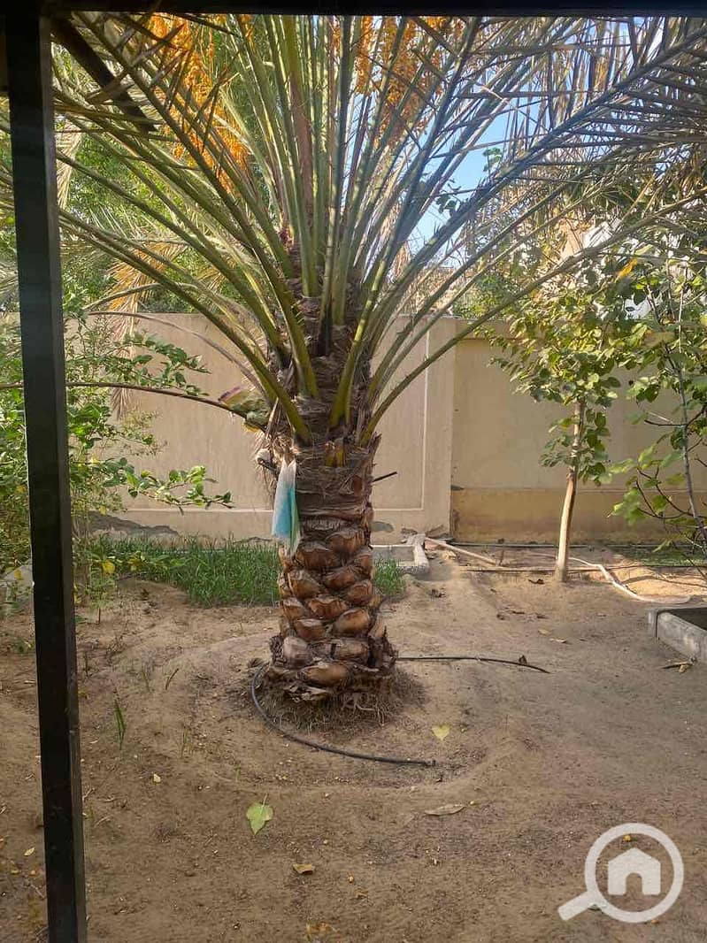 9 7c68a3a4-a85a-487a-9809-7703fb1519f6. jpg