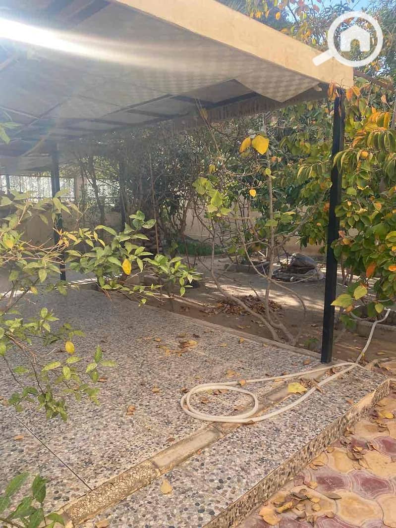 11 adb2c960-10ac-40f9-8982-d3b70bfe57ff. jpg