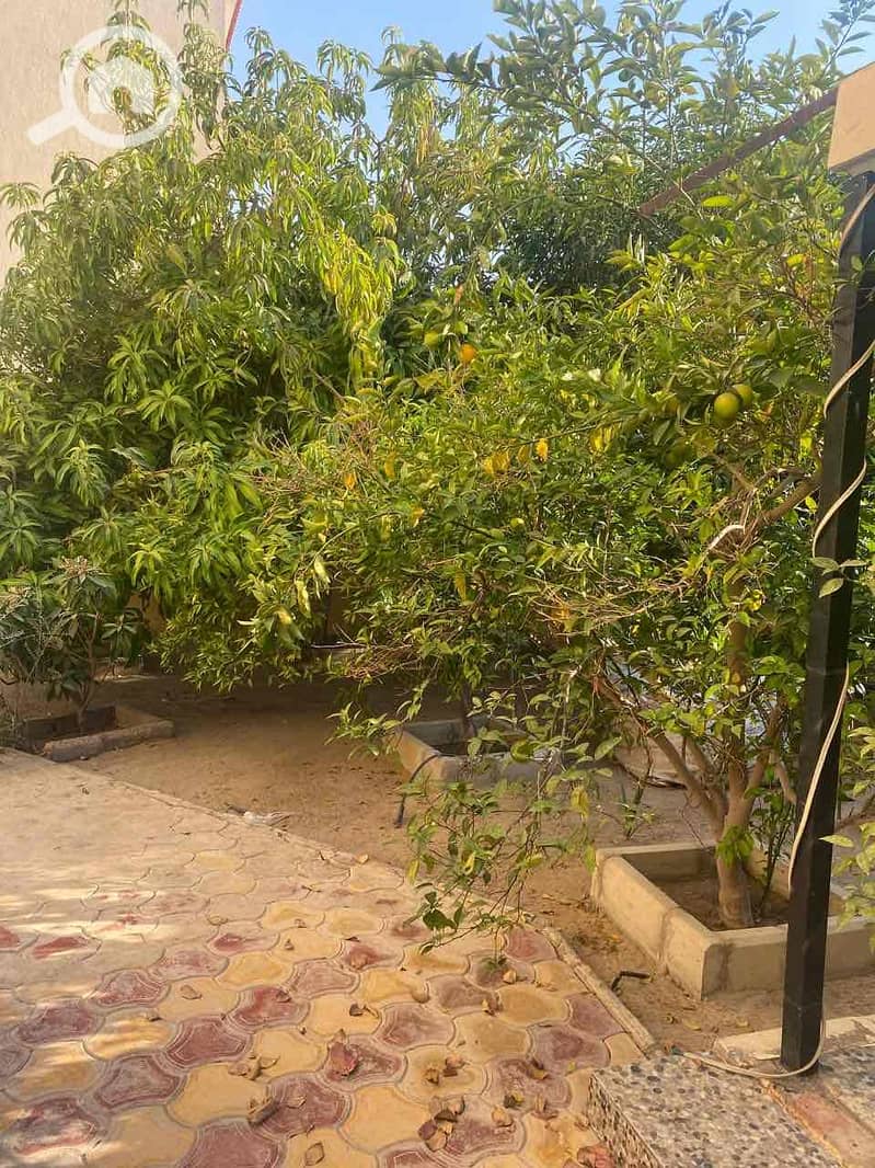 12 f4a83d06-b86b-4372-8ed6-4ce4b2645935. jpg