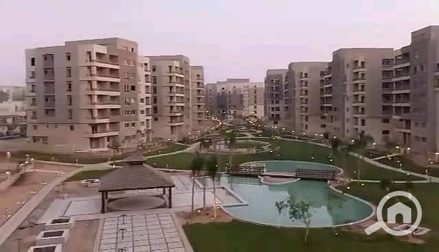 13 IMG-20250823-WA0247. jpg