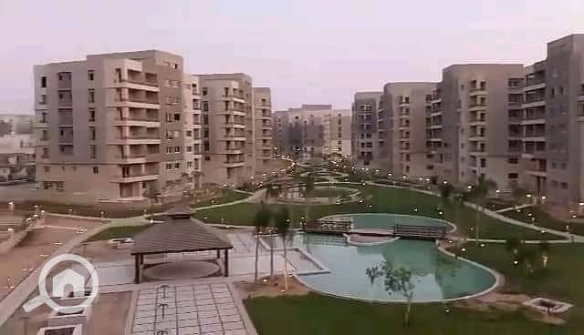 14 IMG-20250823-WA0247. jpg