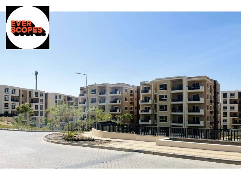 10 WhatsApp Image 2024-09-18 at 2.05. 27 PM. jpeg