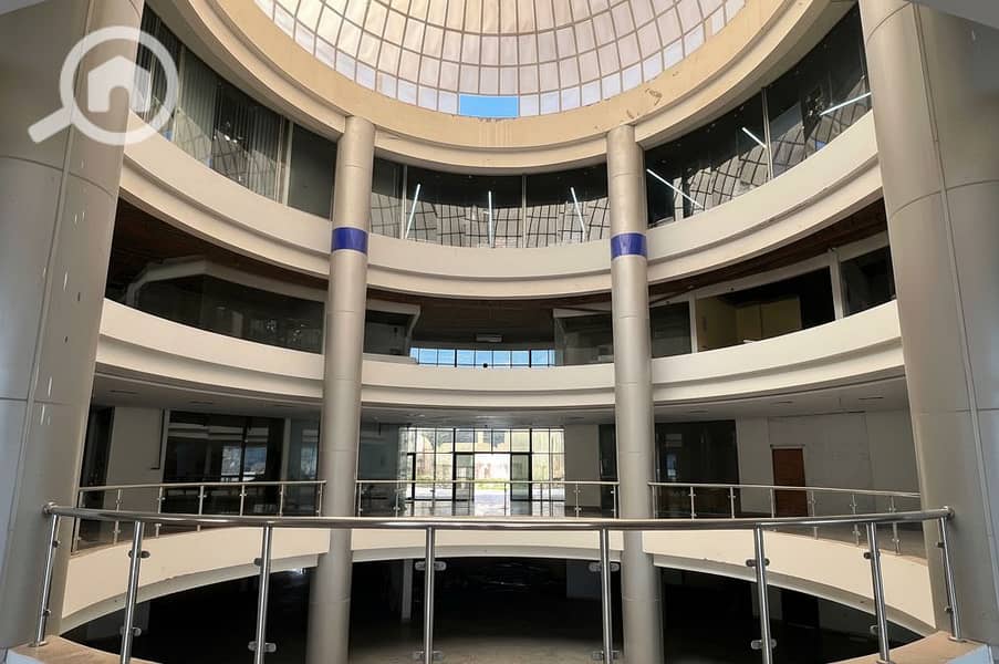 8 Generated Image September 23, 2025 - 2_06PM. png