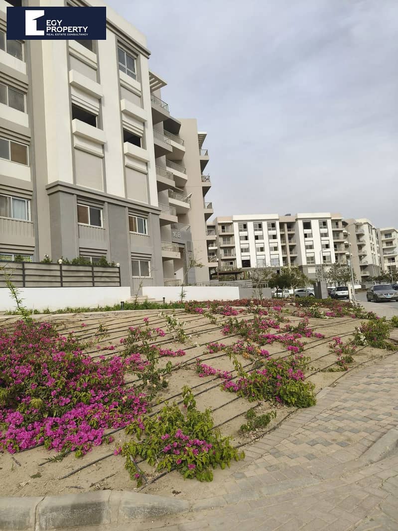 5 WhatsApp Image 2025-07-27 at 4.14. 42 PM. jpeg