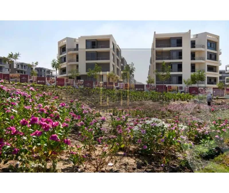 3 6138b3675768e137851391. jpg