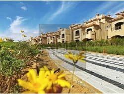 6 33118000-800x600. jpg