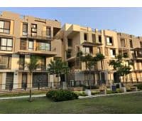 7 131988025_3441520725947111_4646823552546863758_n-Copy-Copy-2. jpg