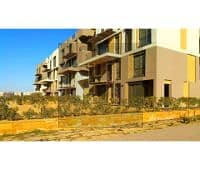 12 tumblr_inline_pcyse69p4n1simxna_1280. jpg