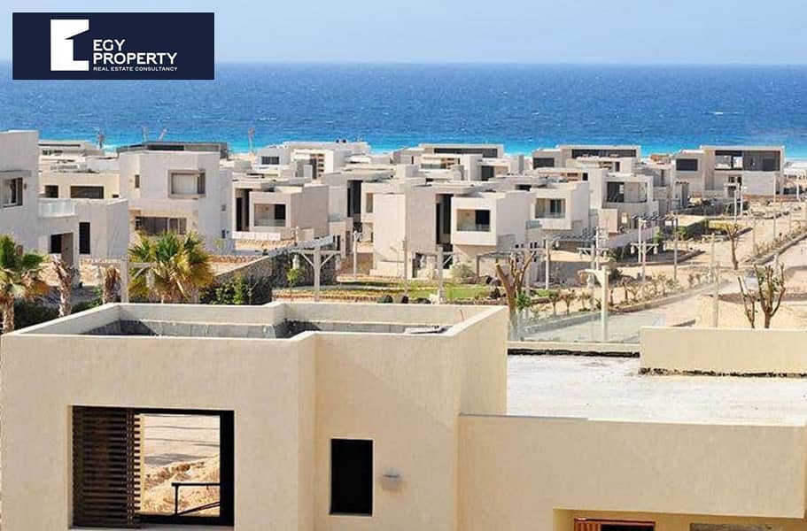 4 WhatsApp Image 2025-12-14 at 23.41. 19_897c2d05. jpg