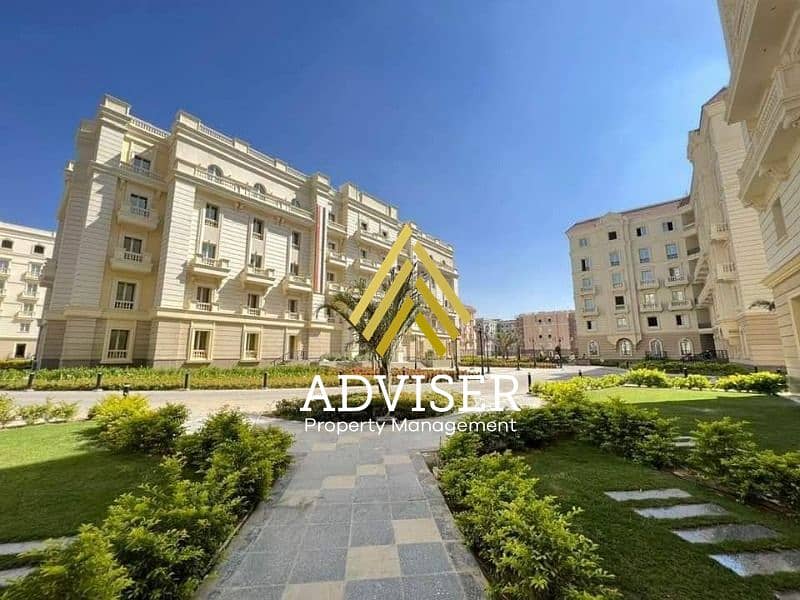 13 LSWQSGSDWI (10). jpeg