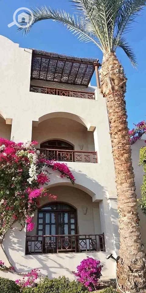 3 568254987_803185728992139_4667782419426280864_n. jpg