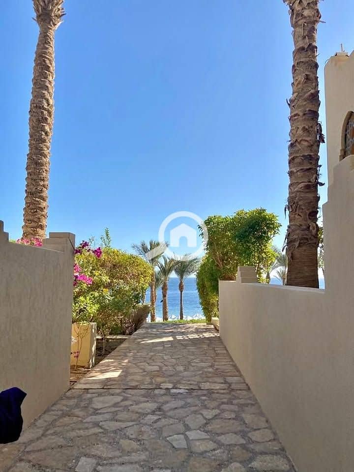 11 569238275_1117829037002431_3770315711869795015_n. jpg