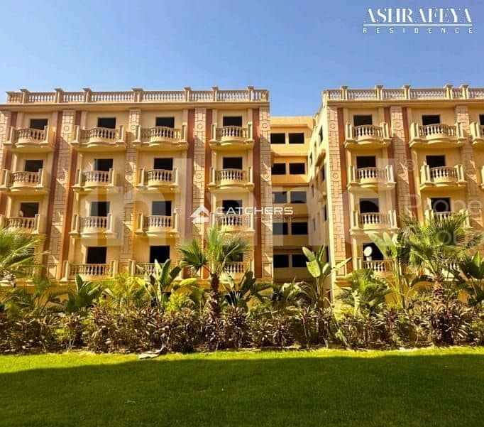 4 bf781fc2-30e0-46ba-b6f3-be8c66d97fc6. JPG