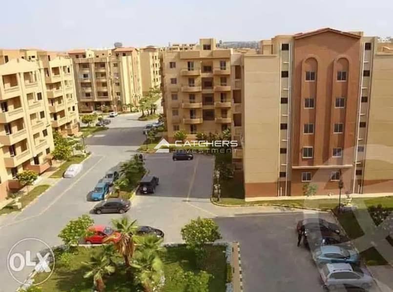 6 33e5f3bb-669f-45ce-9d51-4647f44cb81f. JPG