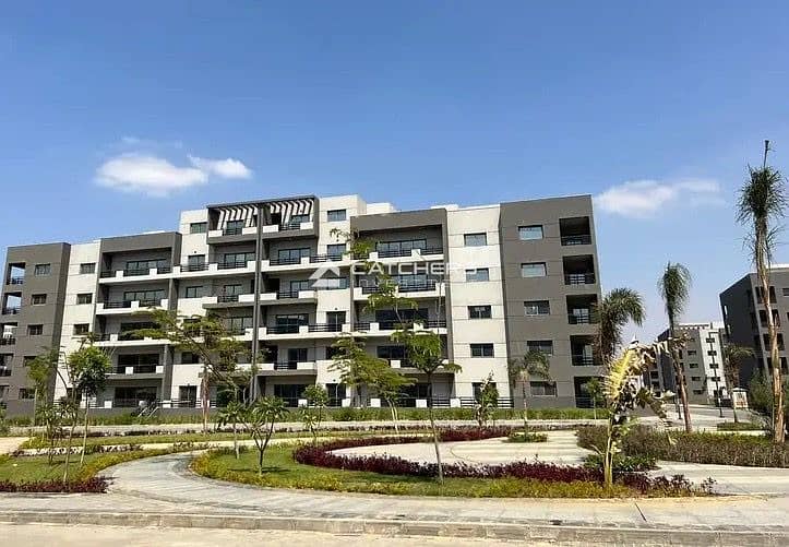 7 340d6c58-39a2-4252-92dc-263183e121a5. JPG