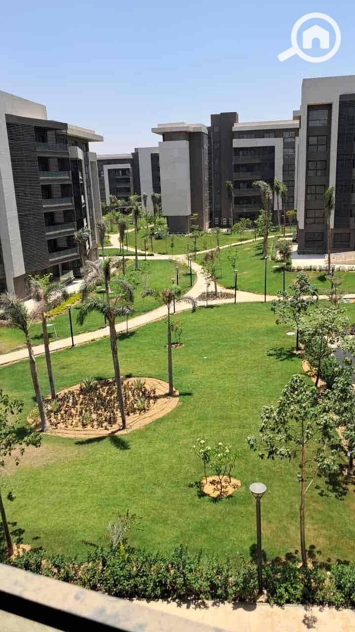 2 db913c59-d34b-4542-abdd-806714e1b61d. jpg