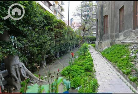 مکتب  للايجار في جليم، الإسكندرية - a6236ca1-ca79-4a5b-86c4-59f33dd27753. jpg