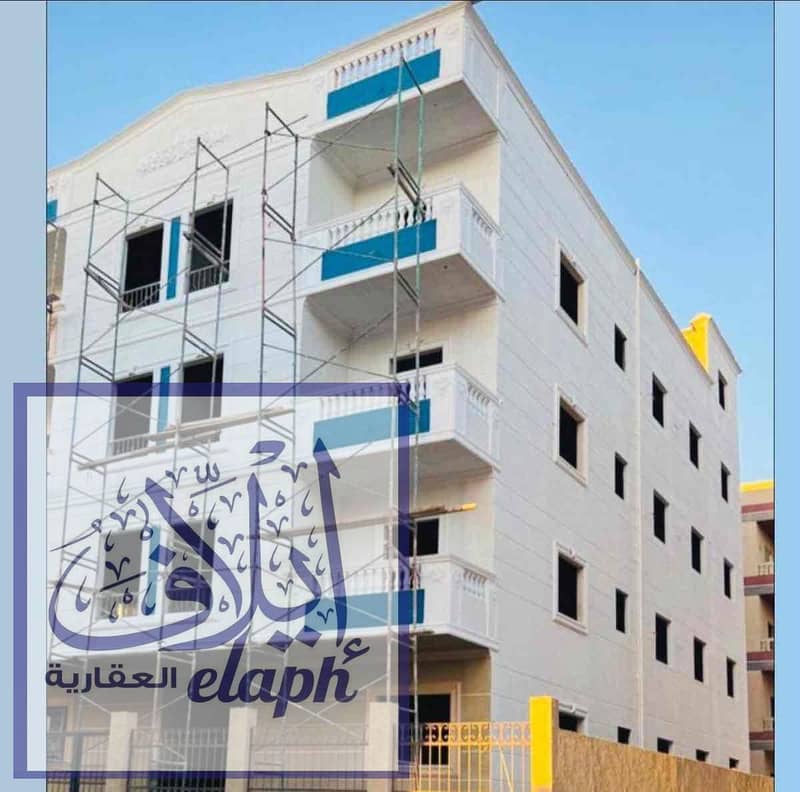 2 313a96fe-9819-46f0-8737-cd0375a829f1. jpg