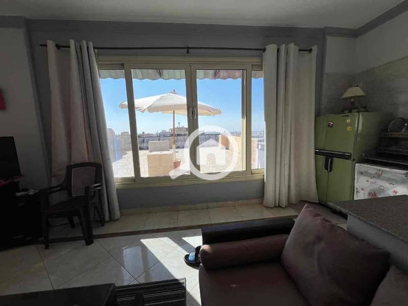 4 d41c5228-005c-4b89-ab57-312aa31c33b5. jpg