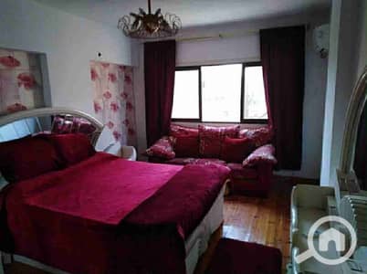 3 Bedroom Apartment for Rent in Nasr City, Cairo - 111673. jpg