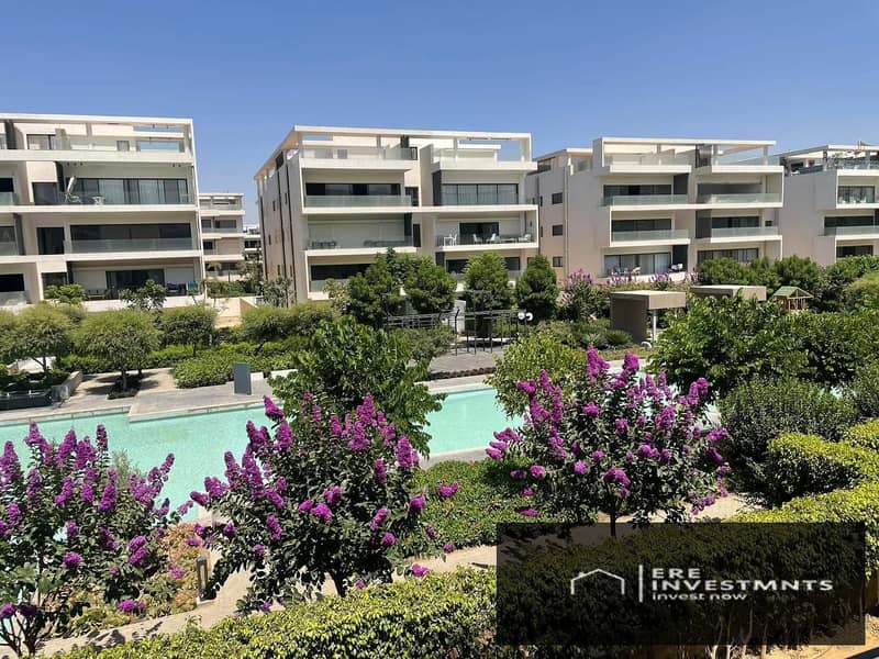 11 523cff84-b9a1-43cd-a59d-7f807a7c0aa2. jpeg