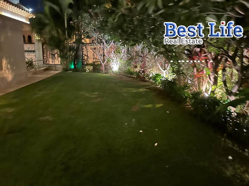 5 689b21033dd31_87f252ed-ec73-4573-af6f-704ed90e0da2. jpg