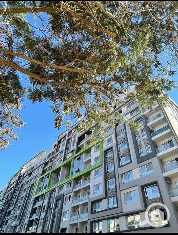 14 WhatsApp Image 2024-09-24 at 18.45. 39_458463a9. jpg